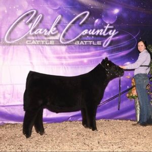 Meet your Posher, Karli